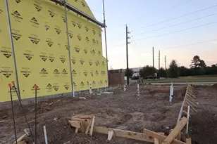 19002 Buckeye Bough Ln, Houston, TX 77084 - Photo 6