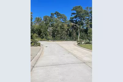 621 Aspen Falls Court, Conroe, TX 77304 - Photo 4