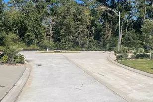 621 Aspen Falls Ct, Conroe, TX 77304 - Photo 4