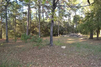 24854 Shady Oaks Boulevard, Montgomery, TX 77316 - Photo 34