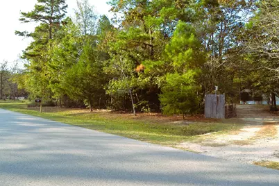 24854 Shady Oaks Boulevard, Montgomery, TX 77316 - Photo 2