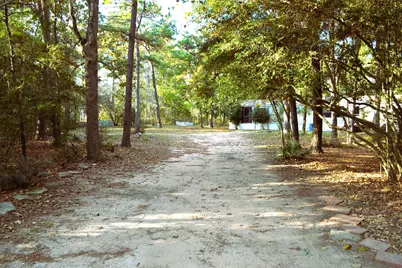 24854 Shady Oaks Boulevard, Montgomery, TX 77316 - Photo 6