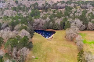 15190 US Hwy 96 S, Kirbyville, TX 75956 - Photo 26