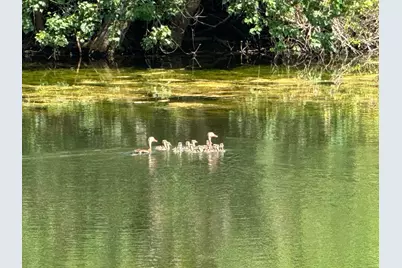 4430 Fm 1457, Round Top, TX 78954 - Photo 1