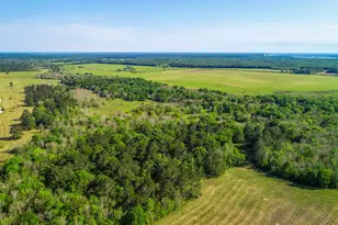 40902 Sh 105, Batson, TX 77519 - Photo 1