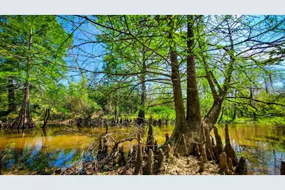 40902 Sh 105, Batson, TX 77519 - Photo 14