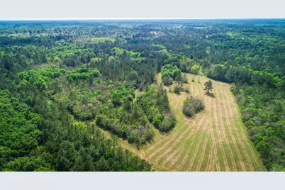 40902 Sh 105, Batson, TX 77519 - Photo 50