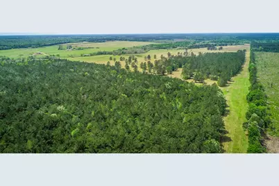 40902 Sh 105, Batson, TX 77519 - Photo 44
