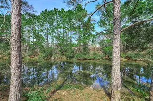 22964 Brazos Dr, Porter, TX 77365 - Photo 12