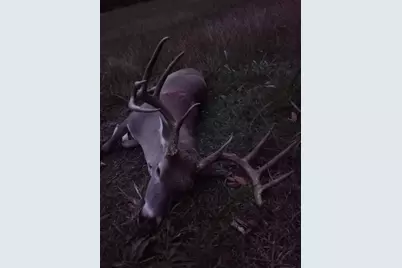 00 Fm 390 N, Brenham, TX 77833 - Photo 18