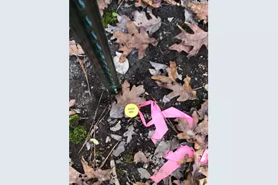 3060 Hubert Cemetery Road, Livingston, TX 77351 - Photo 42