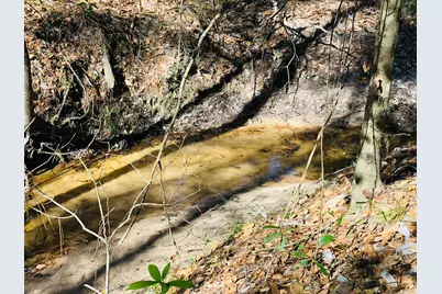 3060 Hubert Cemetery Road, Livingston, TX 77351 - Photo 38