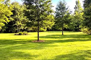 510 County Rd 320, Cleveland, TX 77327 - Photo 14