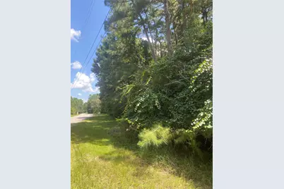22922 Blackgum Drive, Magnolia, TX 77355 - Photo 1