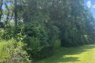 22922 Blackgum Dr, Magnolia, TX 77355 - Photo 2