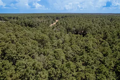 Na Fm 355, Trinity, TX 75862 - Photo 14