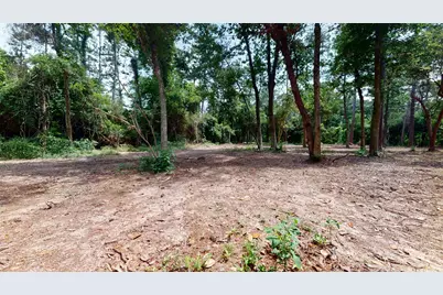 14246 Fm 1314 Road, Conroe, TX 77302 - Photo 44