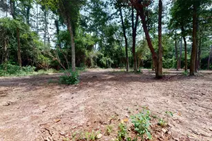 14246 Fm 1314 Rd, Conroe, TX 77302 - Photo 44