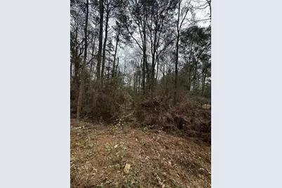 0 County Line Road, Shepherd, TX 77371 - Photo 14