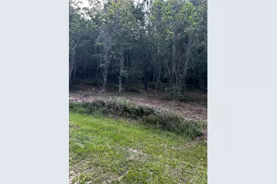 0 County Line Road, Shepherd, TX 77371 - Photo 12