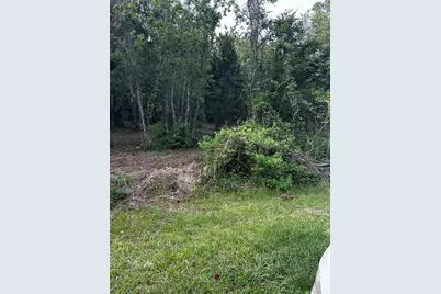 0 County Line Road, Shepherd, TX 77371 - Photo 14