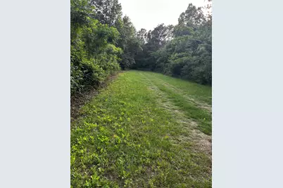 0 County Line Road, Shepherd, TX 77371 - Photo 6