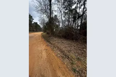 0 County Line Road, Shepherd, TX 77371 - Photo 4