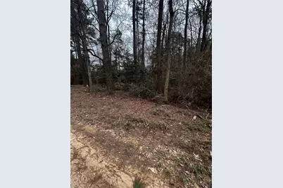 0 County Line Road, Shepherd, TX 77371 - Photo 10