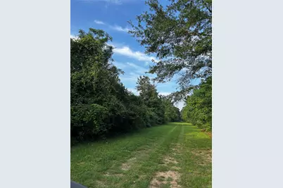 0 County Line Road, Shepherd, TX 77371 - Photo 10