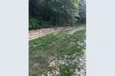 0 County Line Road, Shepherd, TX 77371 - Photo 18