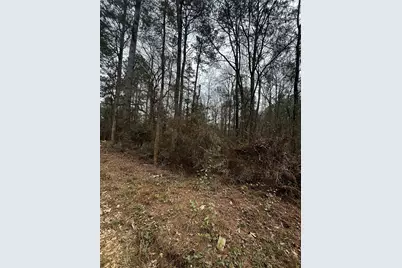 0 County Line Road, Shepherd, TX 77371 - Photo 12