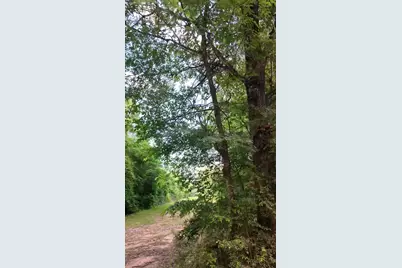 0 County Line Road, Shepherd, TX 77371 - Photo 4