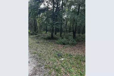 0 County Line Road, Shepherd, TX 77371 - Photo 38