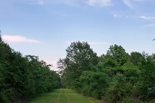 0 County Line Rd, Shepherd, TX 77371 - Photo 1