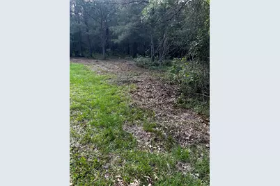 0 County Line Road, Shepherd, TX 77371 - Photo 34