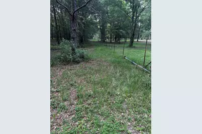 0 County Line Road, Shepherd, TX 77371 - Photo 46