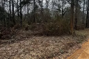 0 County Line Rd, Shepherd, TX 77371 - Photo 1