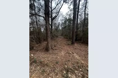 0 County Line Road, Shepherd, TX 77371 - Photo 8