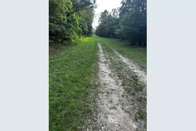 0 County Line Road, Shepherd, TX 77371 - Photo 26