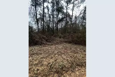 0 County Line Road, Shepherd, TX 77371 - Photo 2