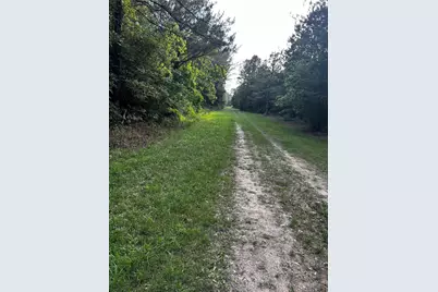 0 County Line Road, Shepherd, TX 77371 - Photo 30