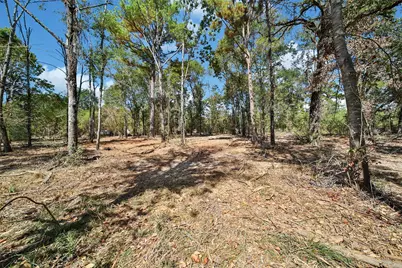 206 B Morris Lane, Huntsville, TX 77320 - Photo 1