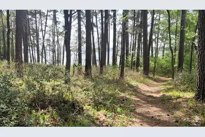 107 Henry Stuart Court, Huntsville, TX 77340 - Photo 4