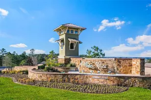 11515 Parrot Fish Ct, Conroe, TX 77304 - Photo 10