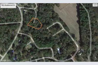 Tbd Bluebonnet Drive, Onalaska, TX 77360 - Photo 4