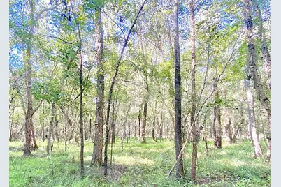 000 County Road 1190, Grapeland, TX 75844 - Photo 12