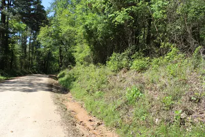 000 County Road 1190, Grapeland, TX 75844 - Photo 2
