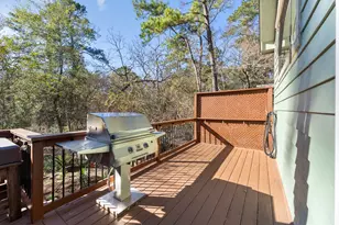 98 S Wilde Yaupon Ct, The Woodlands, TX 77381 - Photo 34