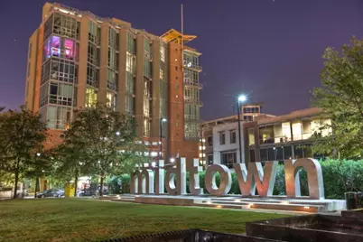 2000 Bagby Street #13432, Houston, TX 77002 - Photo 28