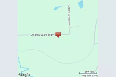 Tbd Andrew Jackson Drive, Livingston, TX 77351 - Photo 6